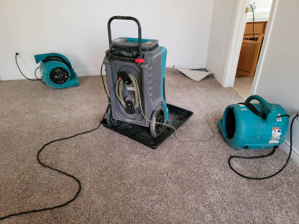 Best Water damage cleanup near me  in Lakin, KS