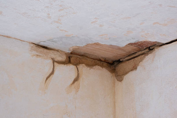 Water damage restoration mold remediation in KS