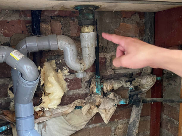 Best Ceiling water damage repair  in Lakin, KS
