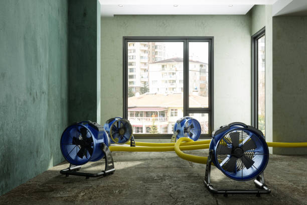 Reliable KS Water damage restoration Solutions