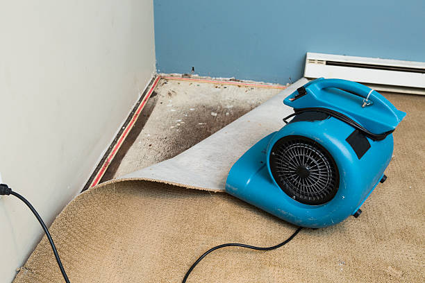 Best Carpet water damage restoration  in Lakin, KS
